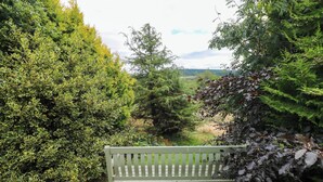 A bench in a park with dense foliage on both sides. - Penrhiwoli Barn (Llangammarch Wells)