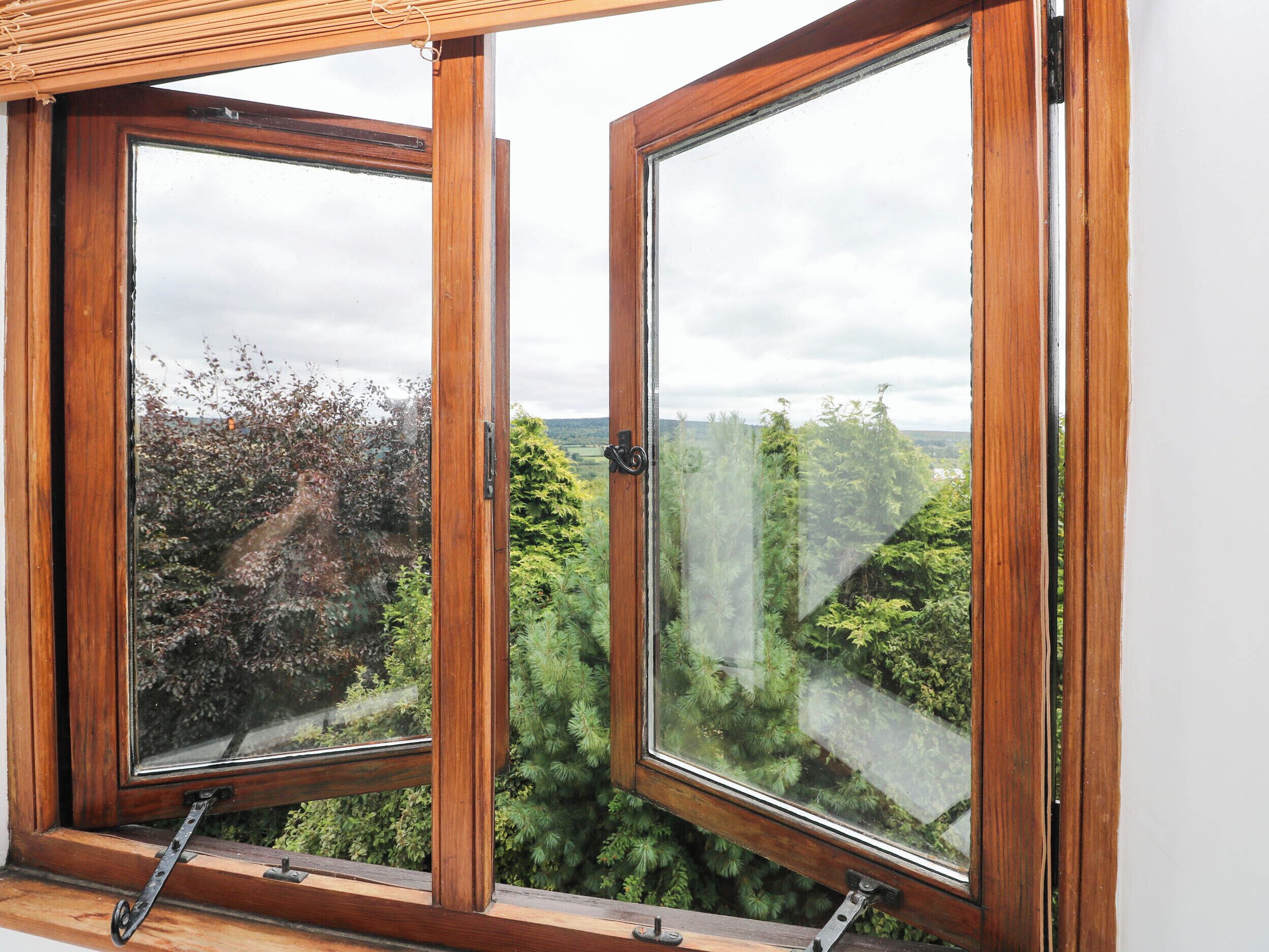 Ein Fenster mit Blick auf eine bewaldete Landschaft.