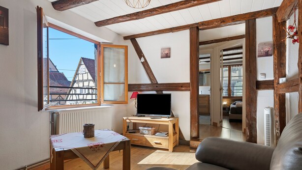 A cozy living room with a television on a wooden stand, a sofa, and a view of a traditional building outside. - Gîtes les cigogneaux - Gîte Pinot (Beblenheim)