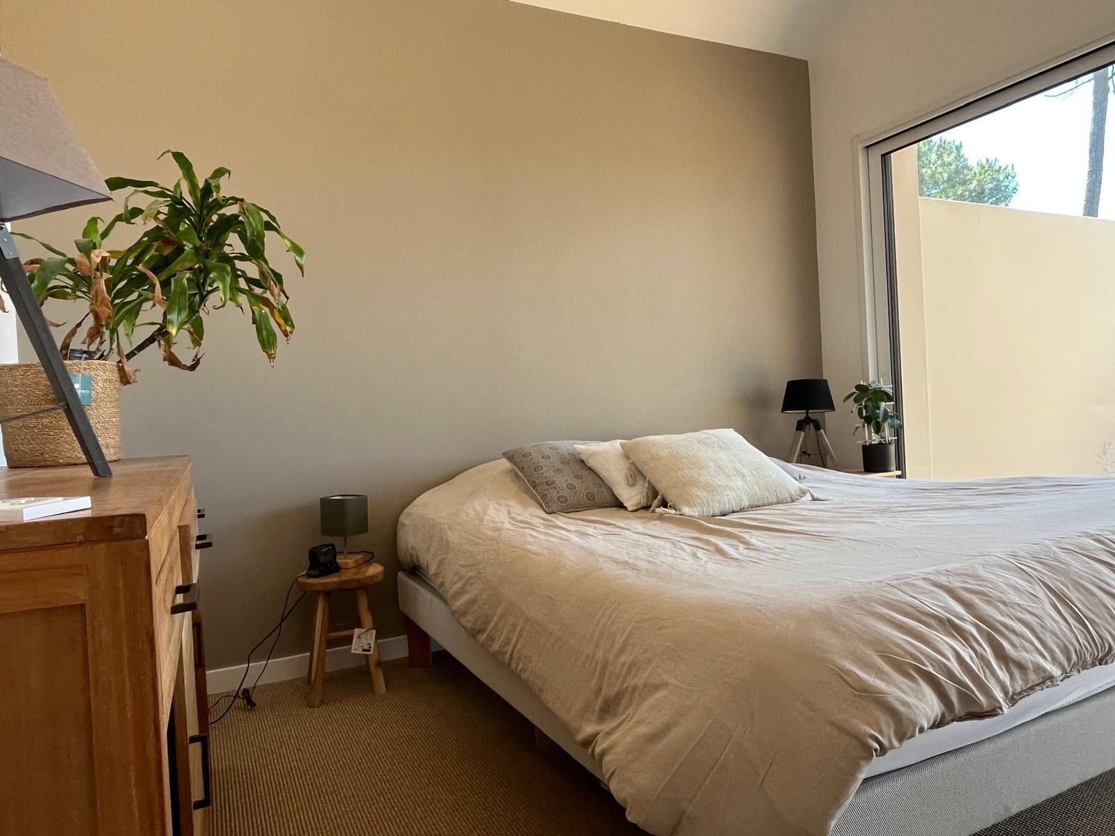 A bedroom with a bed, bedside tables, a lamp, and a potted plant.