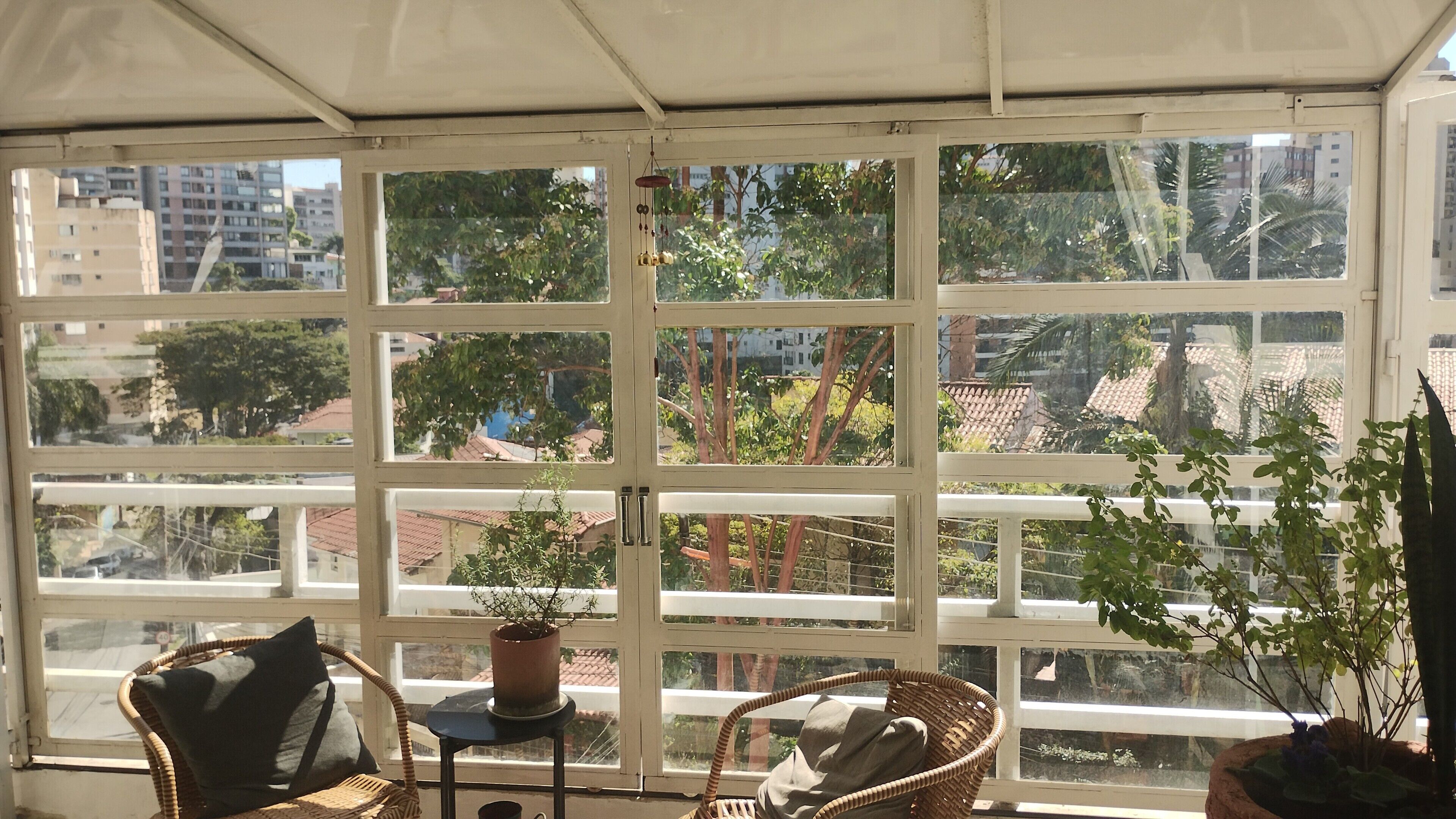 A room with a large window, wicker furniture, and a potted plant.