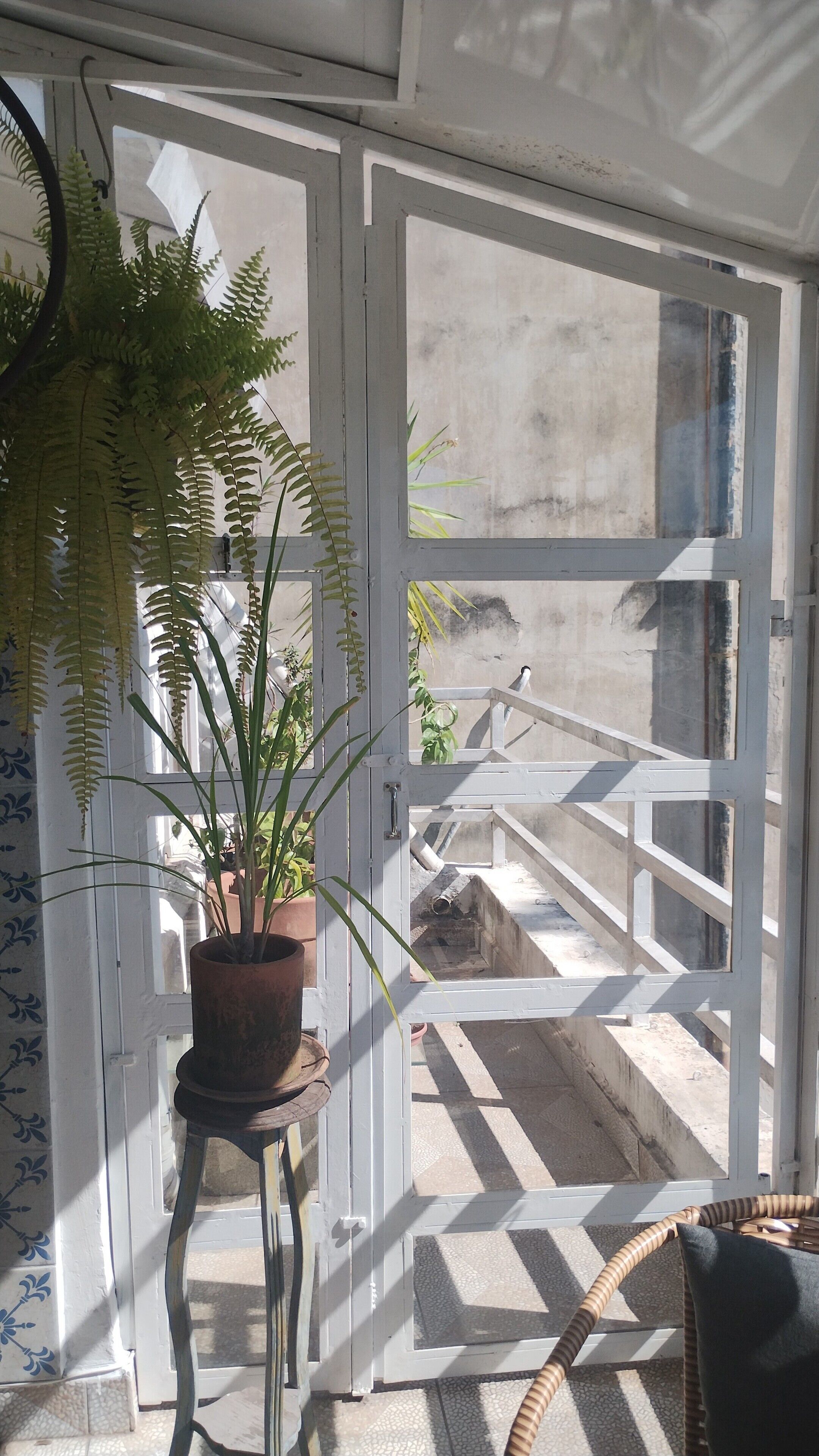 A room with a potted fern, a wicker chair, and a view of a balcony with a railing.