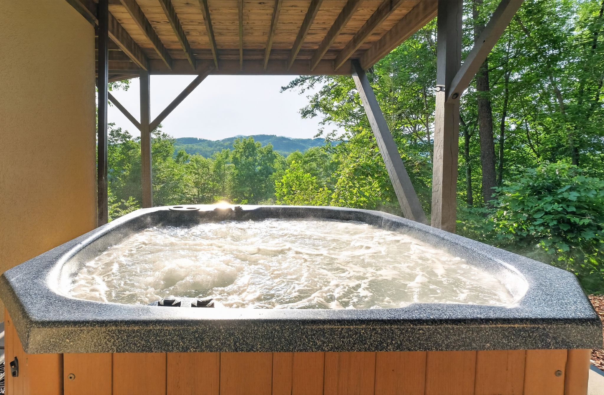 Un bain à remous avec vue sur un paysage boisé.
