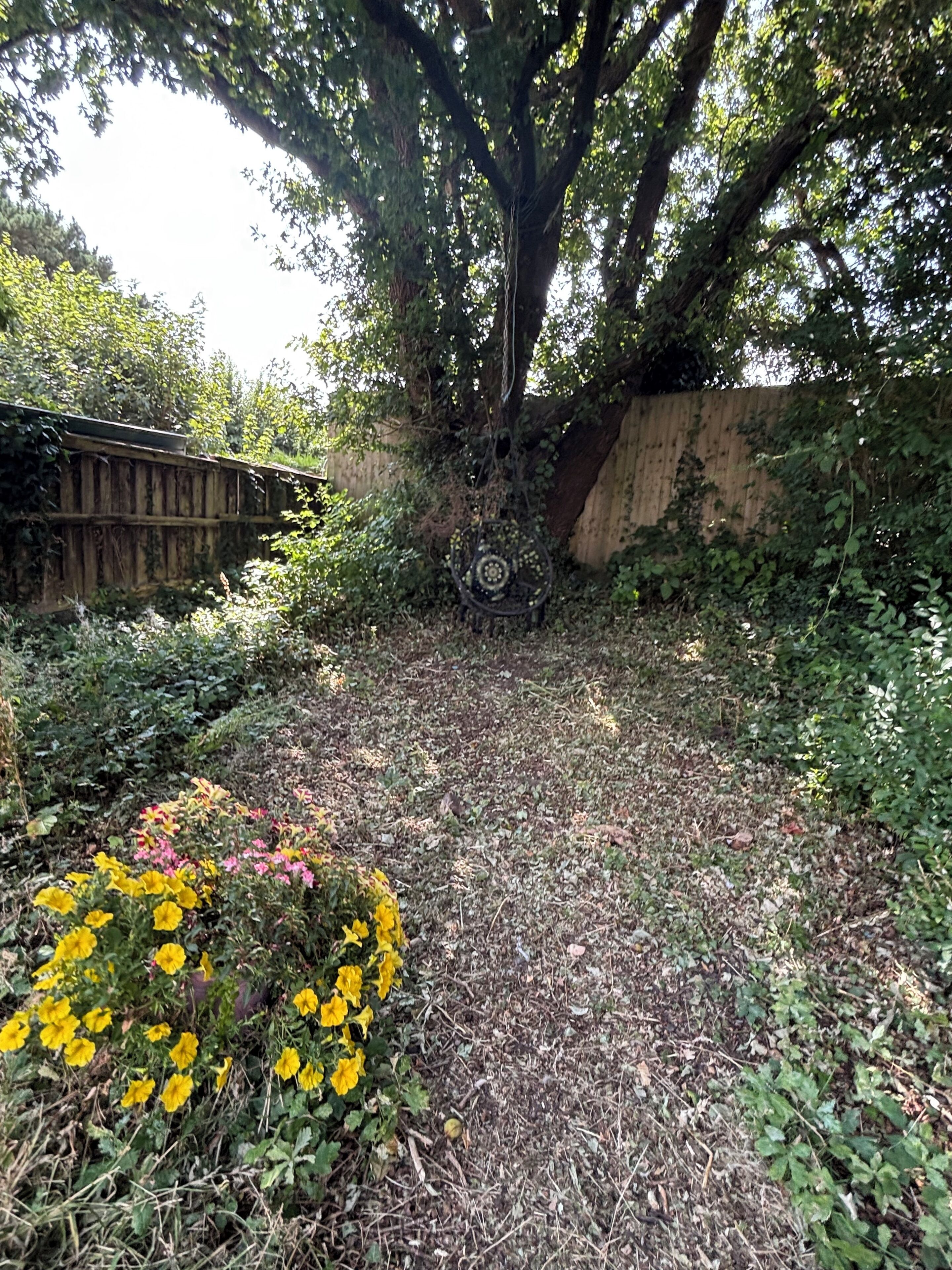 A garden with a large tree, a wooden fence, and various plants and flowers.