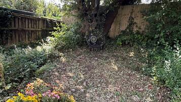 A garden with a large tree, a wooden fence, and various plants and flowers.