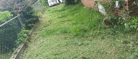 A grassy area with a brick wall and a metal fence.