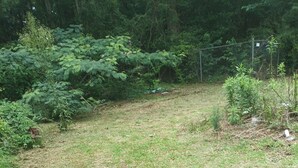 Un'area verdeggiante all'aperto, delimitata da una recinzione a rete metallica, circondata da vegetazione fitta e alberi.