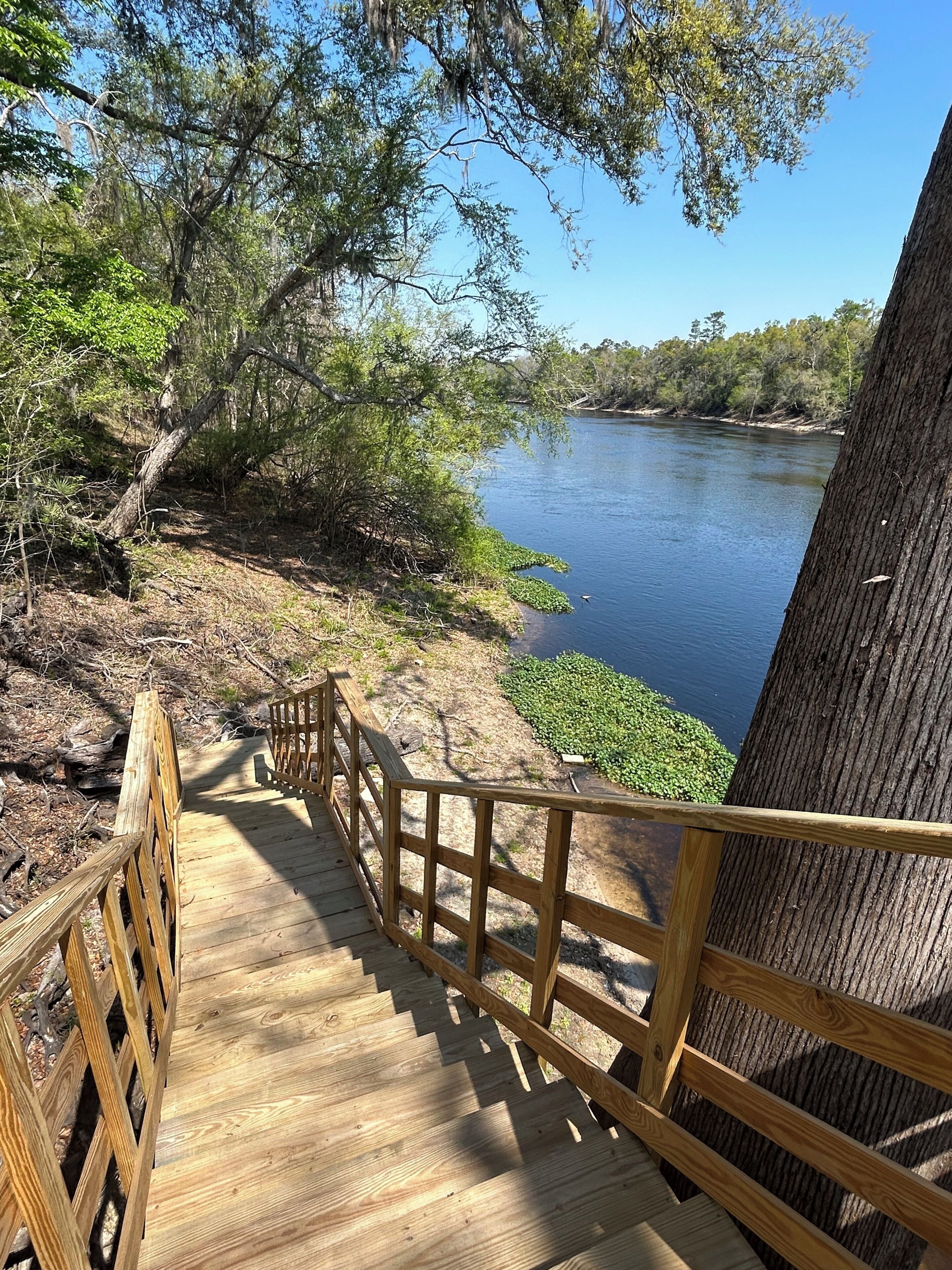 A wooden staircase leading to a riverbank with a view of the water and surrounding trees.