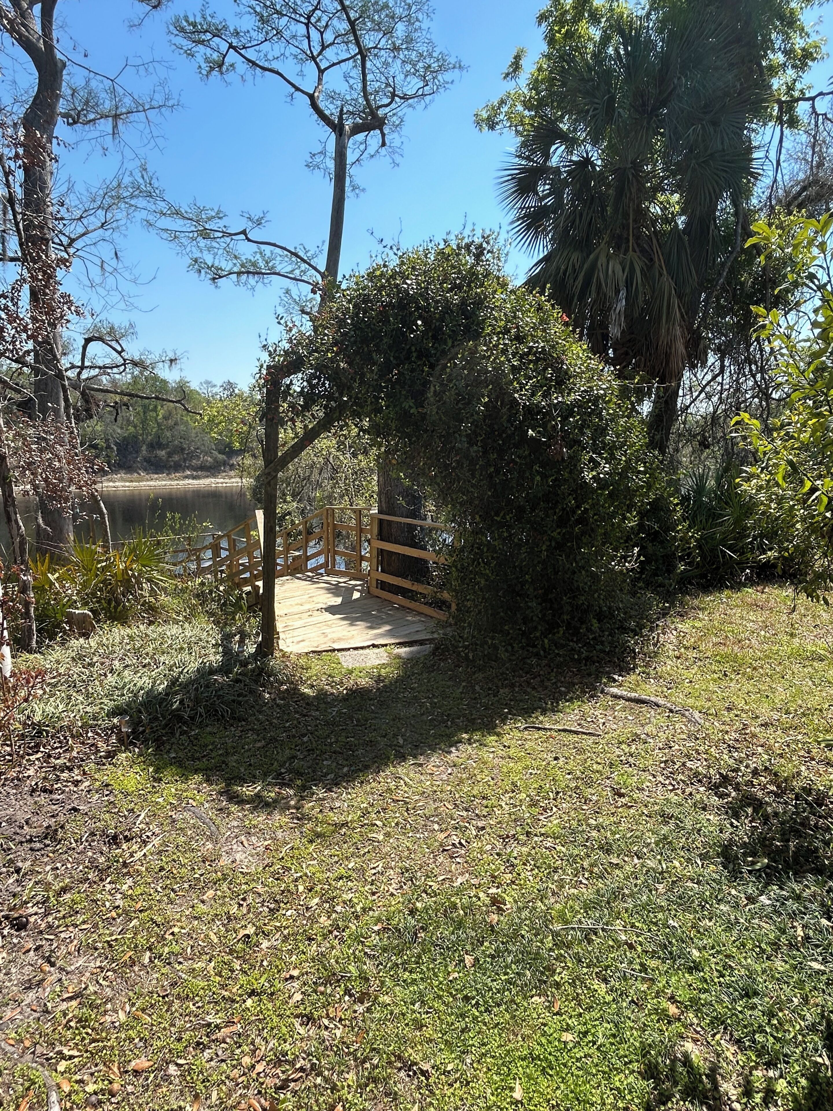 A wooden deck leading to a natural area with a pond, surrounded by trees and shrubs.