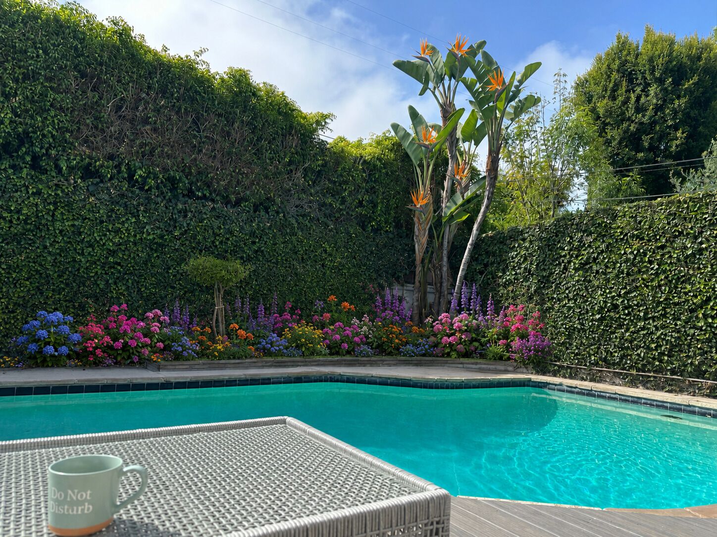A swimming pool with a tiled deck, surrounded by a variety of colorful flowers and plants.