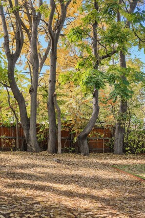 A park with trees, a wooden fence, and a ground covered with dry leaves. - 2Bd 1Bth Apt. | 100"TV | 3GB WIFI (Denver)