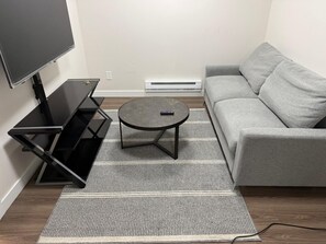 Living area - Enjoyable 1-bedroom apartment in lovely Regina with AC (Regina)
