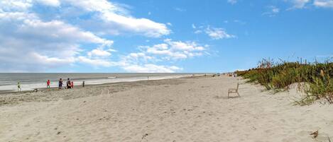 Una playa cerca