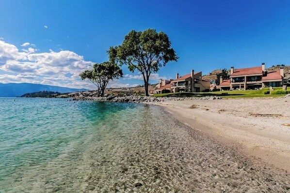 Um imóvel à beira-mar com praia deserta, uma grande árvore e vários edifícios com telhados vermelhos.
