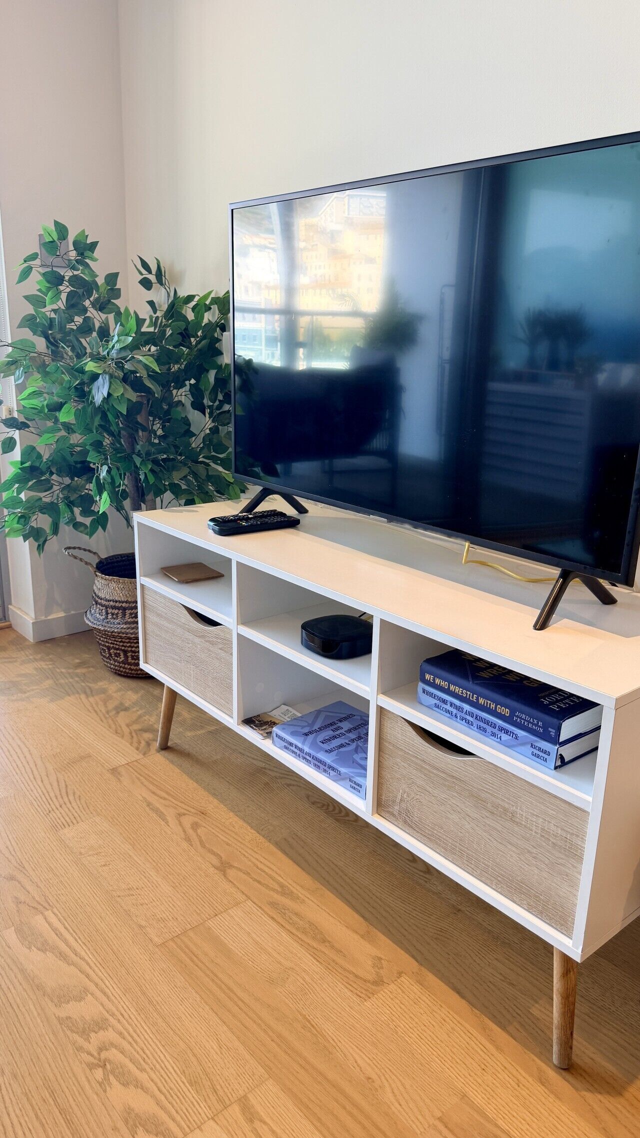 A modern living room with a flat-screen TV on a white TV stand, a potted plant, and a bookshelf with books.