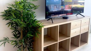 Un televisor sobre un soporte de madera, con una planta de bambú a un lado.