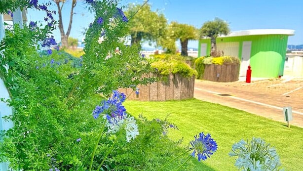 Un jardín cuidado con diversas plantas y flores, un edificio verde al fondo y un cielo despejado.