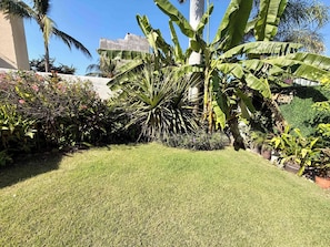 Ein gepflegter Garten mit verschiedenen tropischen Pflanzen, darunter Bananenstauden und eine Palme, vor einem Gebäude mit einer Betonfassade.