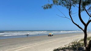 A beach with a clear sky, a tree, and a group of people under umbrellas.