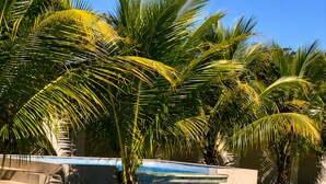 A swimming pool with clear blue water, surrounded by palm trees and a tiled edge. - Hotel Imperador (Gurupi)