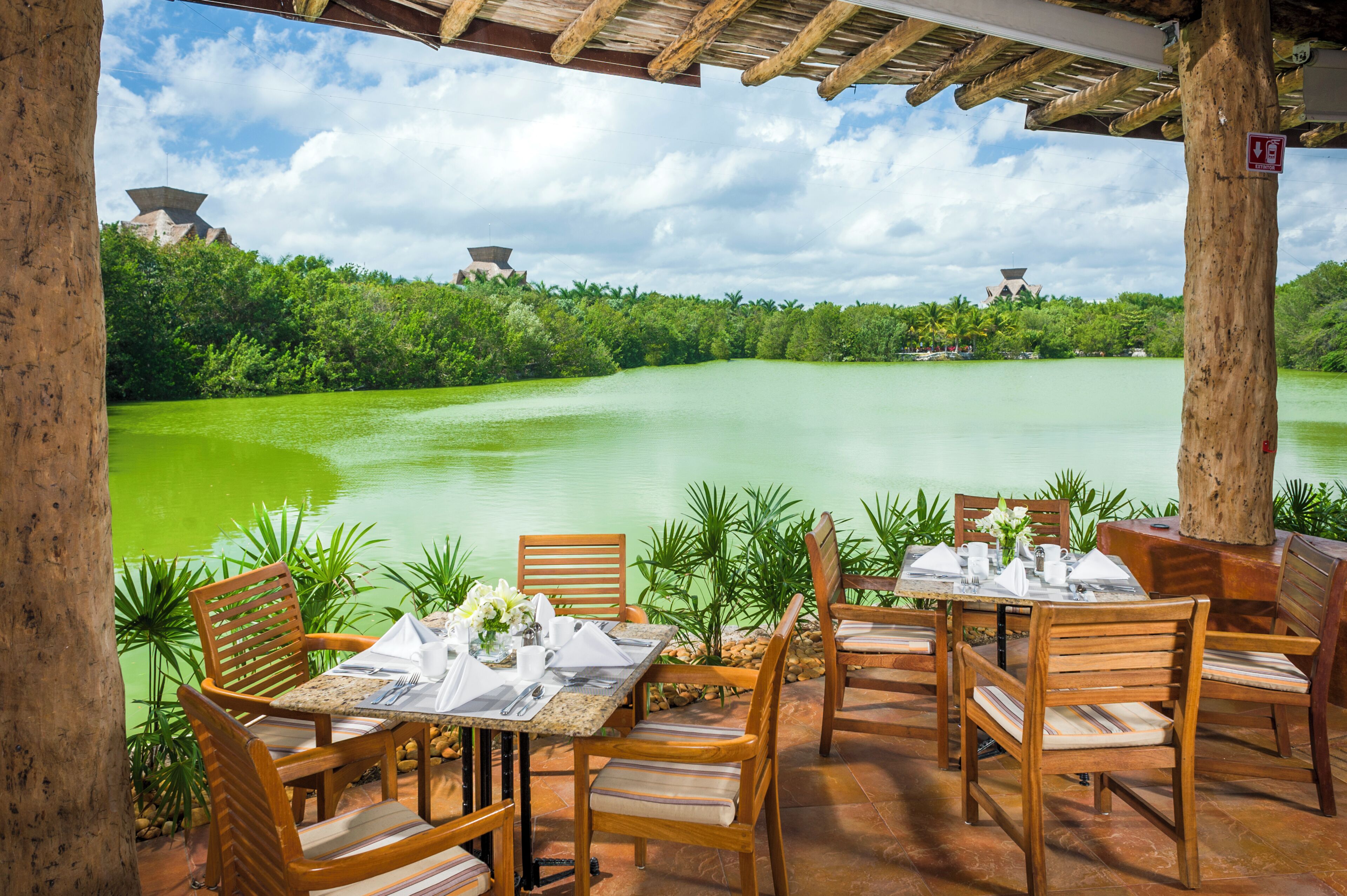 Un área de comedor al aire libre con mesas y sillas frente a un río, rodeada de follaje y árboles.