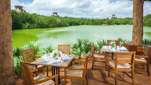 An outdoor dining area with tables and chairs facing a river, surrounded by greenery and trees.