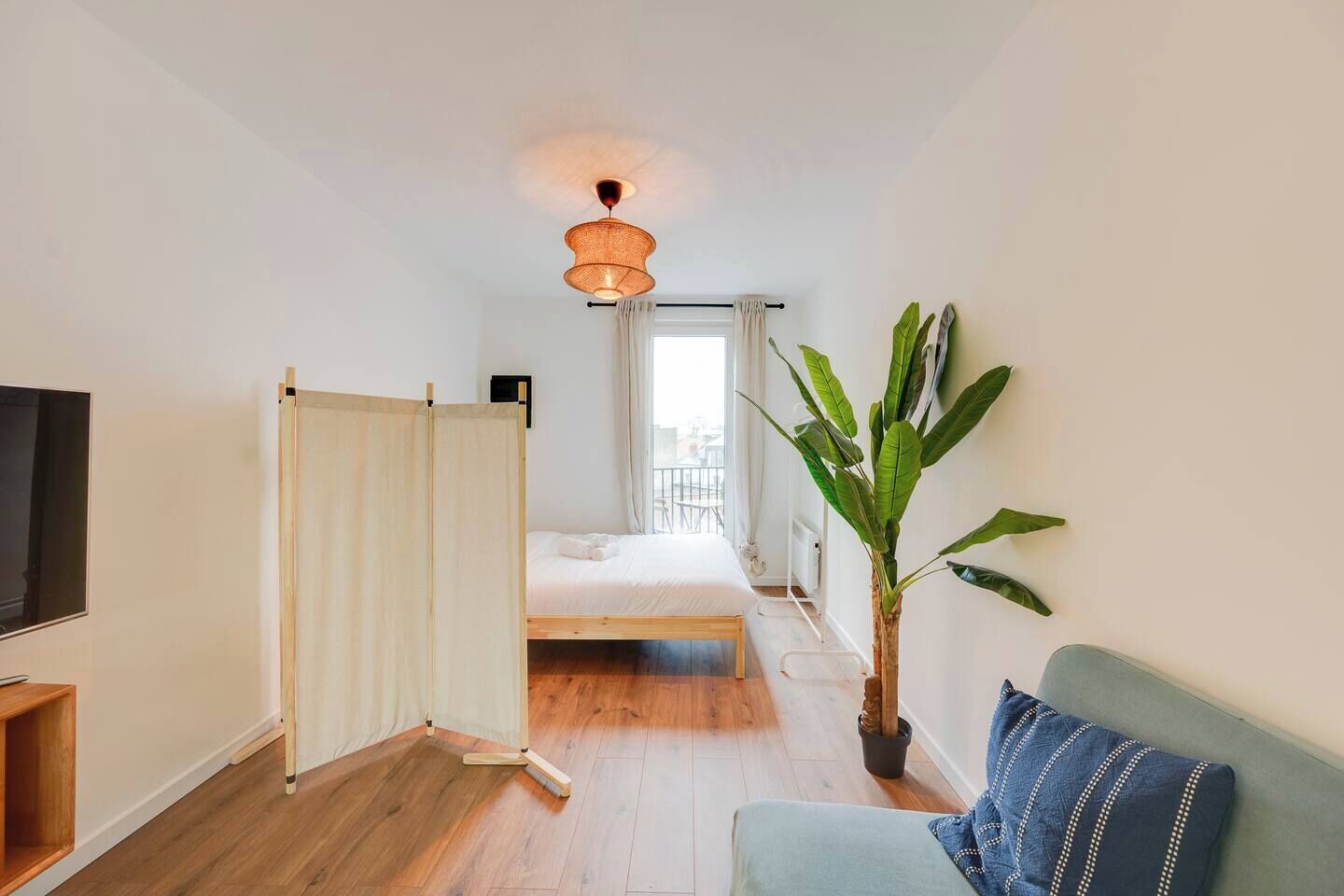 A bedroom with a bed, a bedside table, a TV, a plant, and a window with curtains.