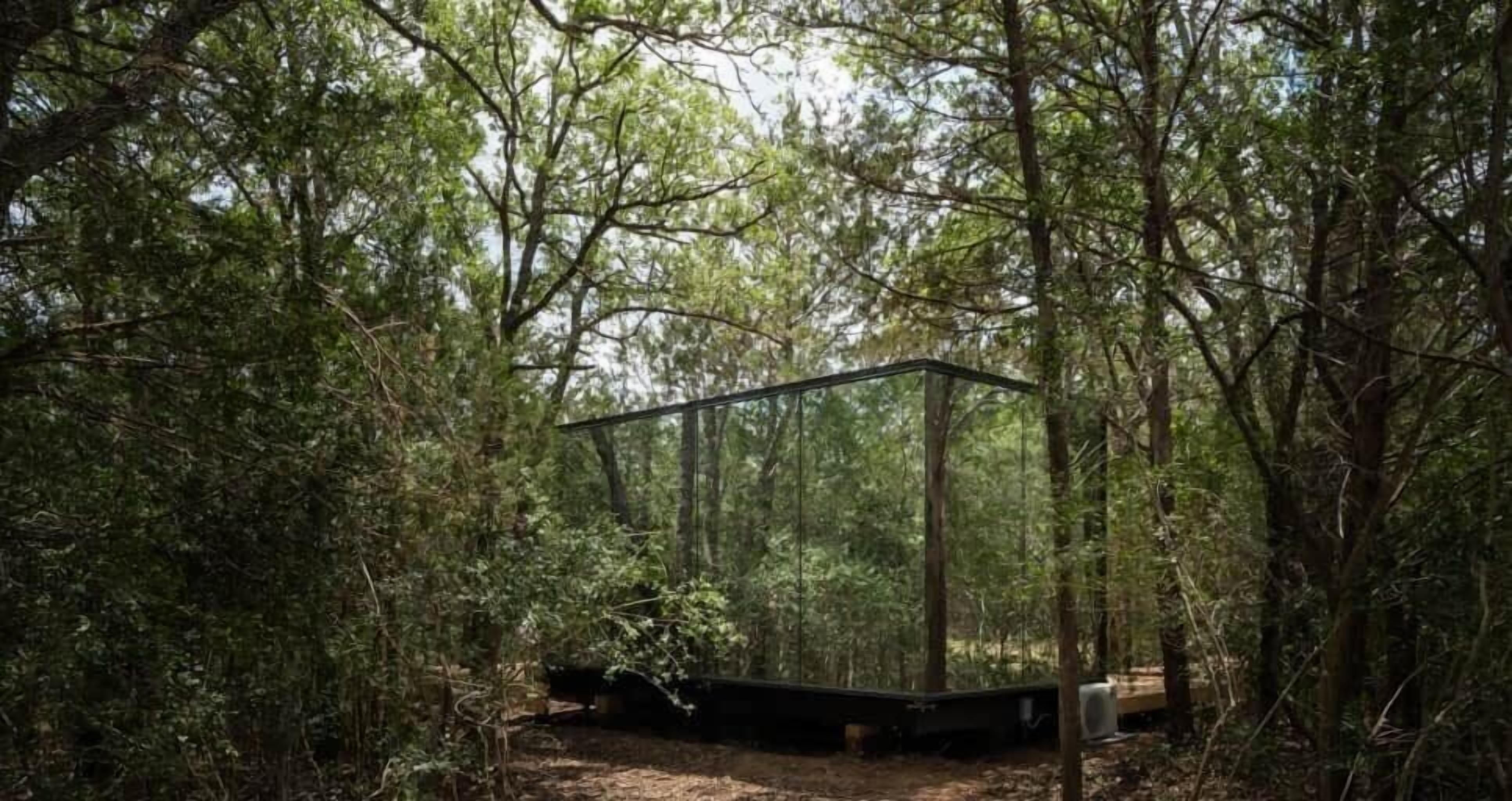 A forested area with a transparent structure, possibly a viewing platform or gazebo, surrounded by trees.