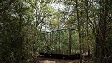 A forested area with a transparent structure, possibly a viewing platform or gazebo, surrounded by trees.