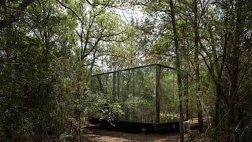 Zona boscosa con una estructura transparente, posiblemente una plataforma de observación o un pabellón, rodeada de árboles.