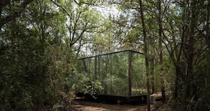Una zona boscosa amb una estructura transparent, possiblement una plataforma d'observació o una glorieta, envoltada d'arbres.