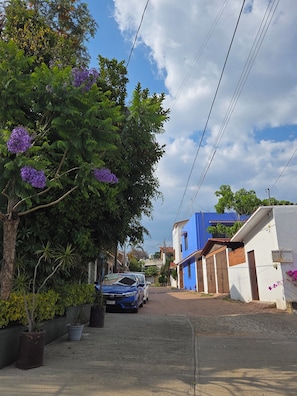 Une rue résidentielle avec un immeuble bleu, un arbre aux fleurs violettes et une voiture garée.