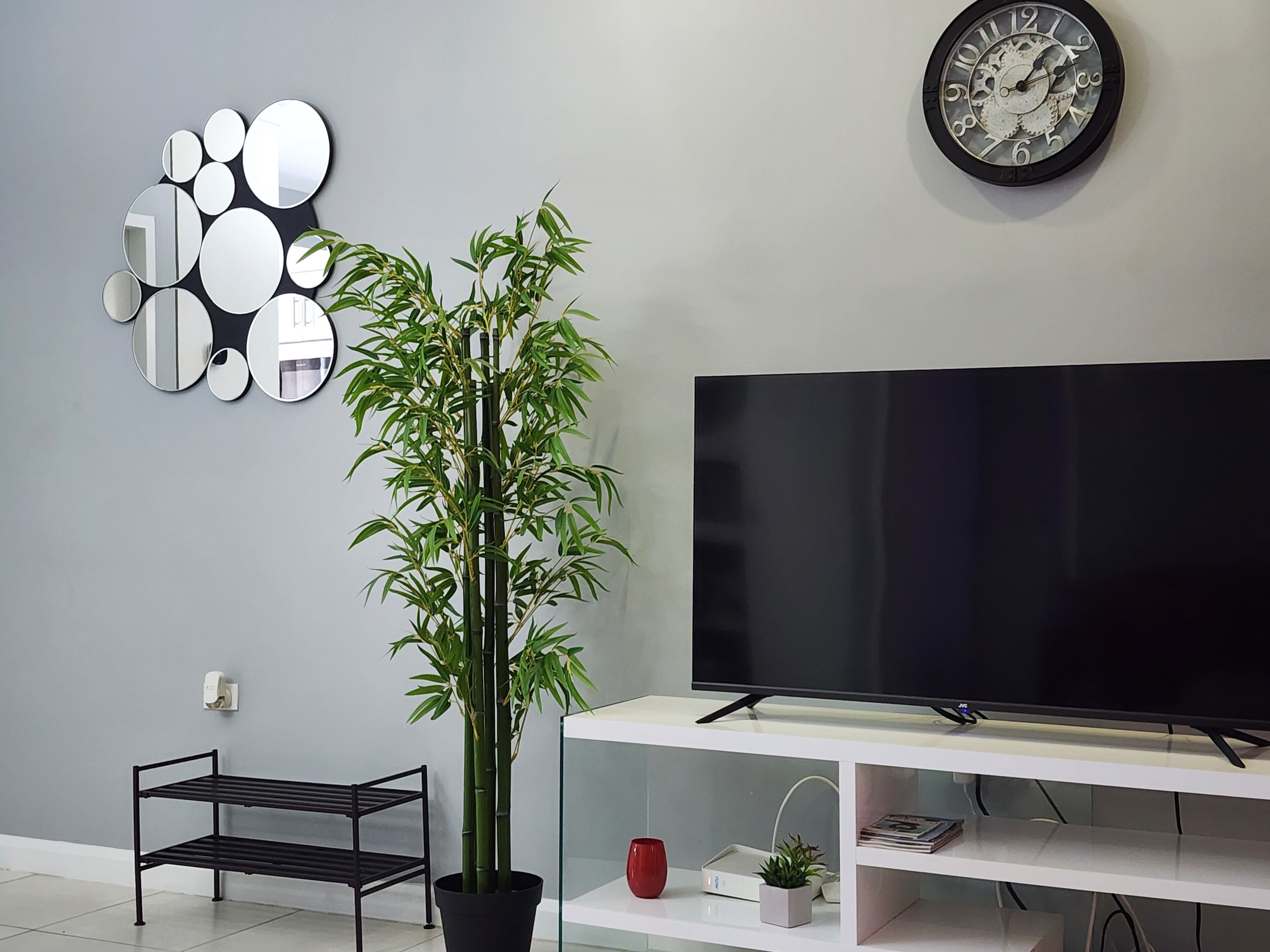 A living room with a flat-screen TV, a bamboo plant, a wall-mounted mirror, and a black metal shelf.