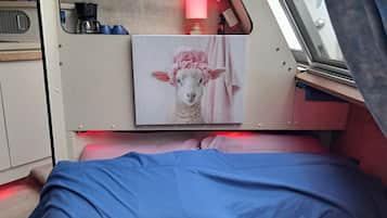 1 habitación y ropa de cama