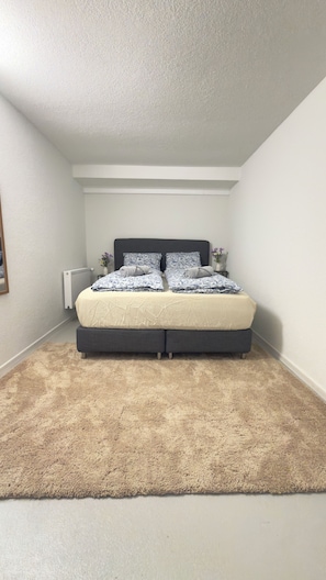 Ein Schlafzimmer mit einem Bett, einem Heizkörper und einem Teppich.