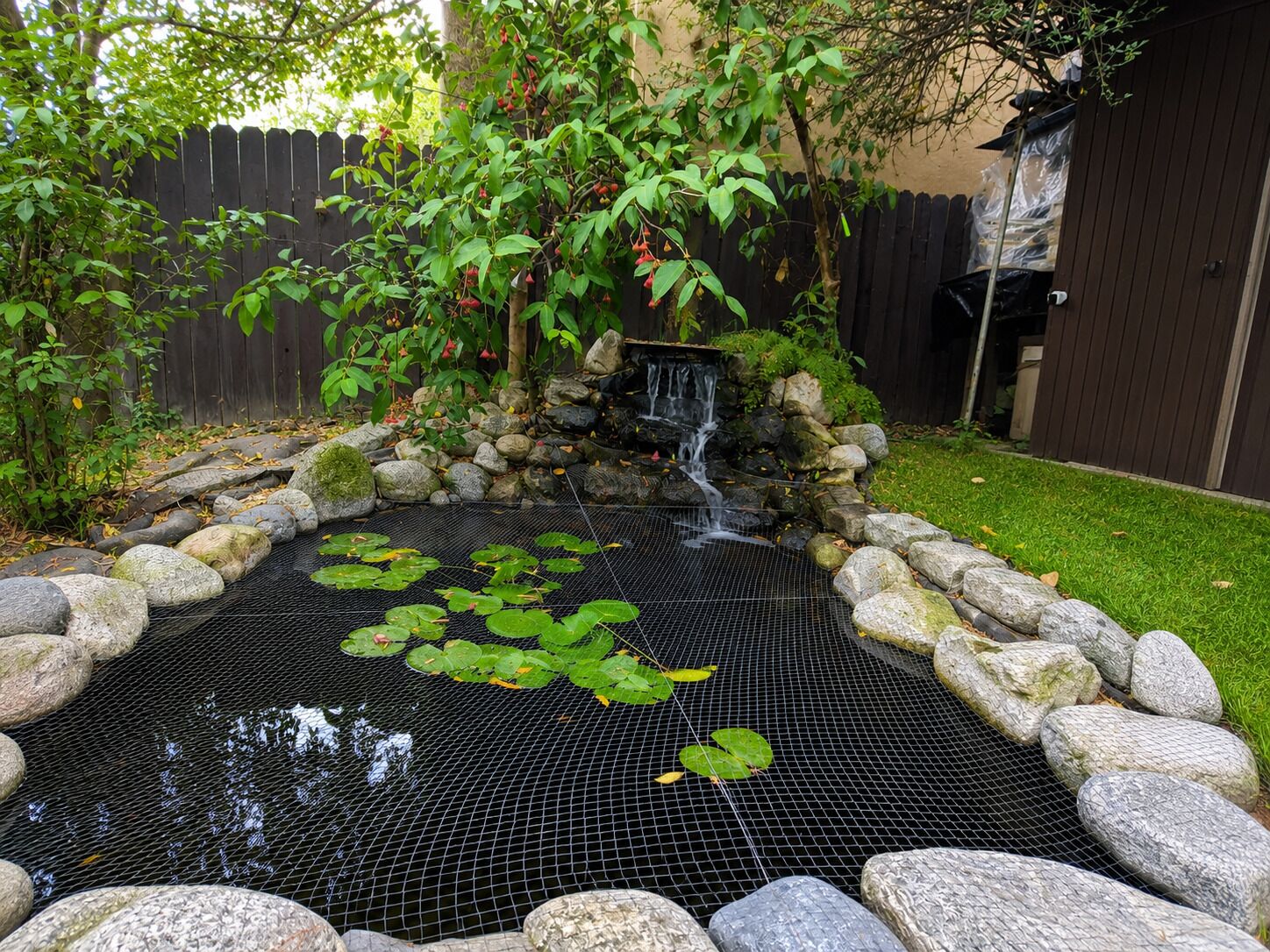A backyard with a small pond, surrounded by rocks and plants.