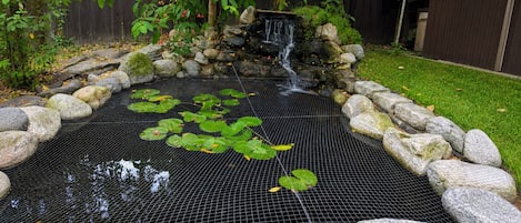 A backyard with a small pond, surrounded by rocks and plants.