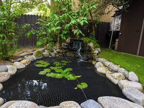 Un jardin avec un petit étang, entouré de rochers et de plantes.