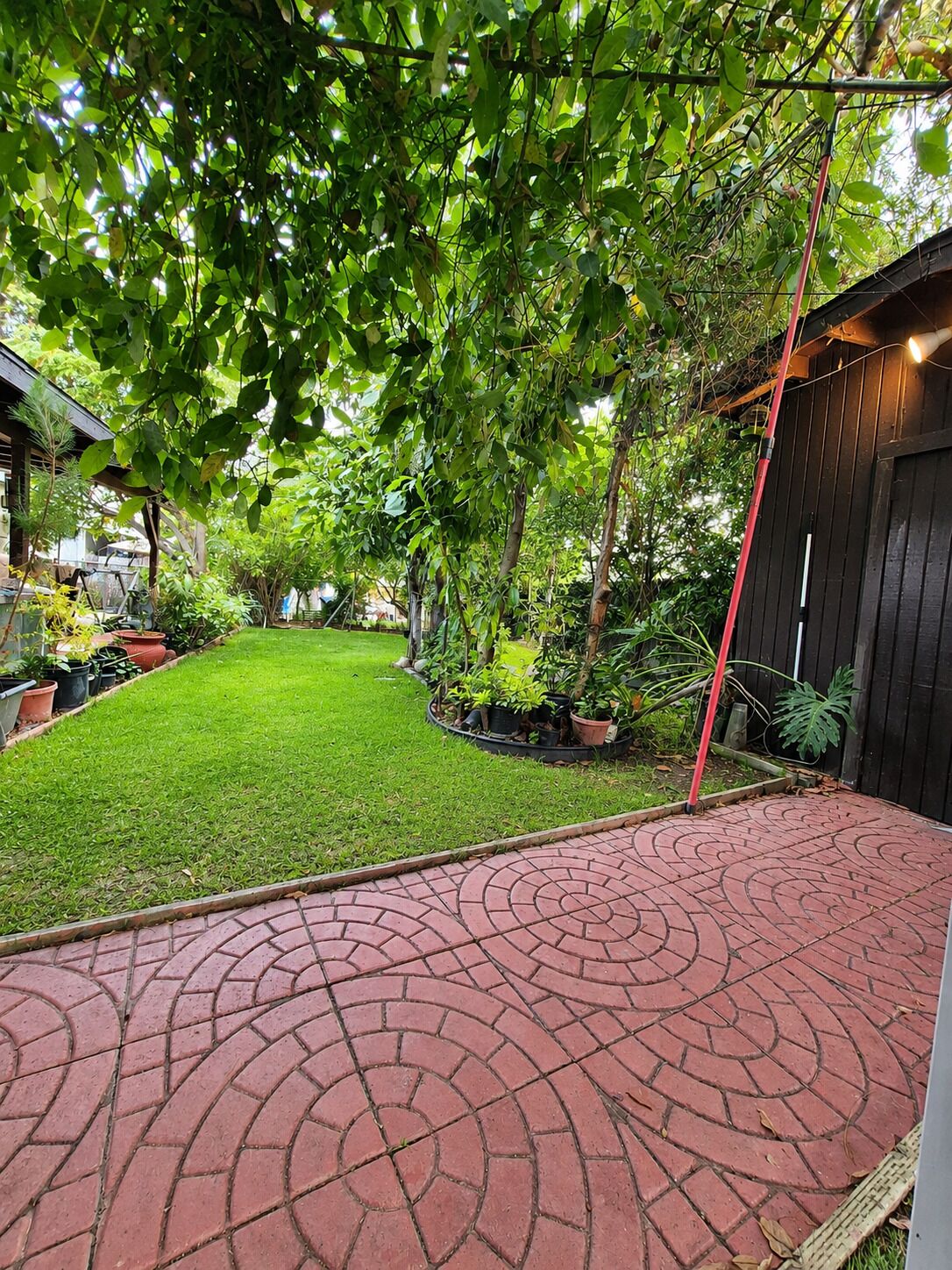 Une terrasse dallée avec un motif circulaire, entourée d’une pelouse bien entretenue et de diverses plantes en pot.