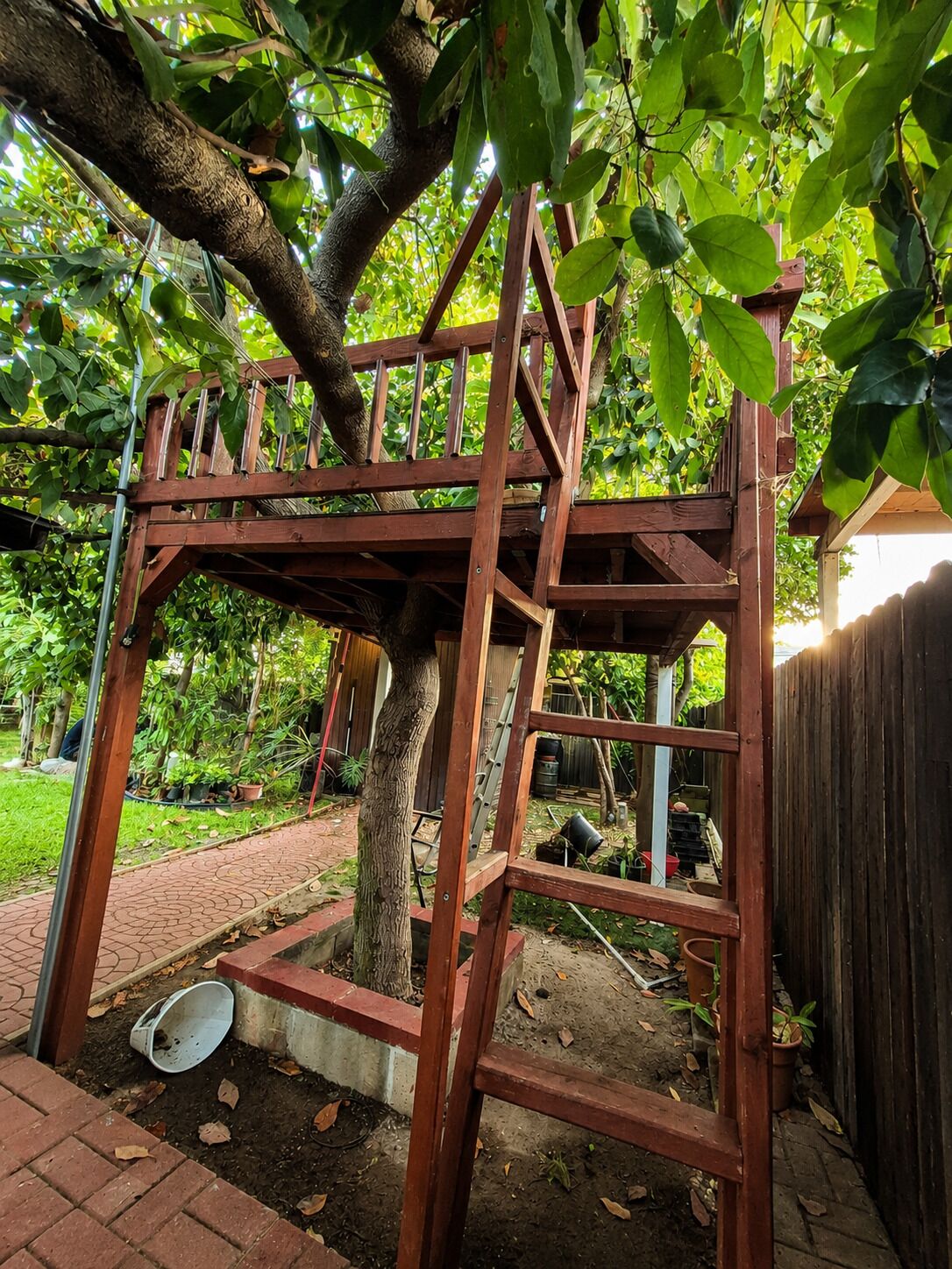 A tree with a wooden structure around it, possibly a play area or garden feature.