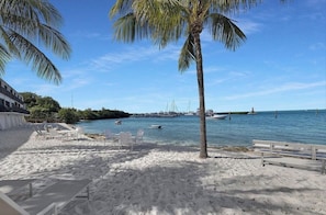 A beach with white sand, palm trees, and a view of boats and a pier in the distance. - Exec Bay Resort-Style 4BR Townhome w/Beach, Marina, Heat/Chill Pool & Pickleball (Islamorada)