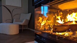 A modern living room with a fireplace, a comfortable sofa, and a decorative plant.