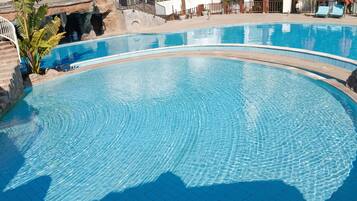 Uma piscina com borda curva, rodeada por um deck de pedra e uma palmeira.