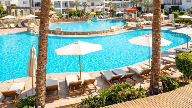 A resort pool area with palm trees, lounge chairs, and a clear blue sky. - Gold Apartment NAAMABAY near the beach with a free shuttle (Sharm el-Sheikh)