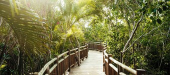 Grand Ocean Breeze Riviera Maya 