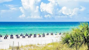 A beach with rows of sun loungers and a clear blue sky. - Lasata 3315 (Miramar Beach)