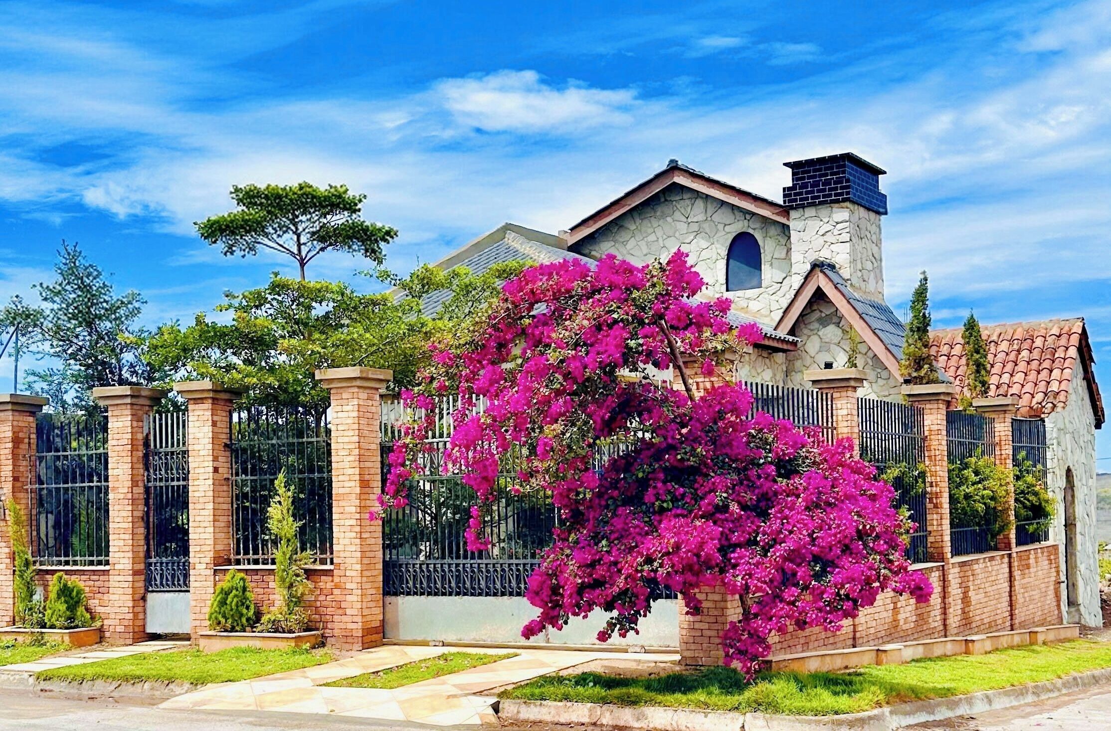 Chalet Deluxe, vistas al jardín | Jardines del alojamiento