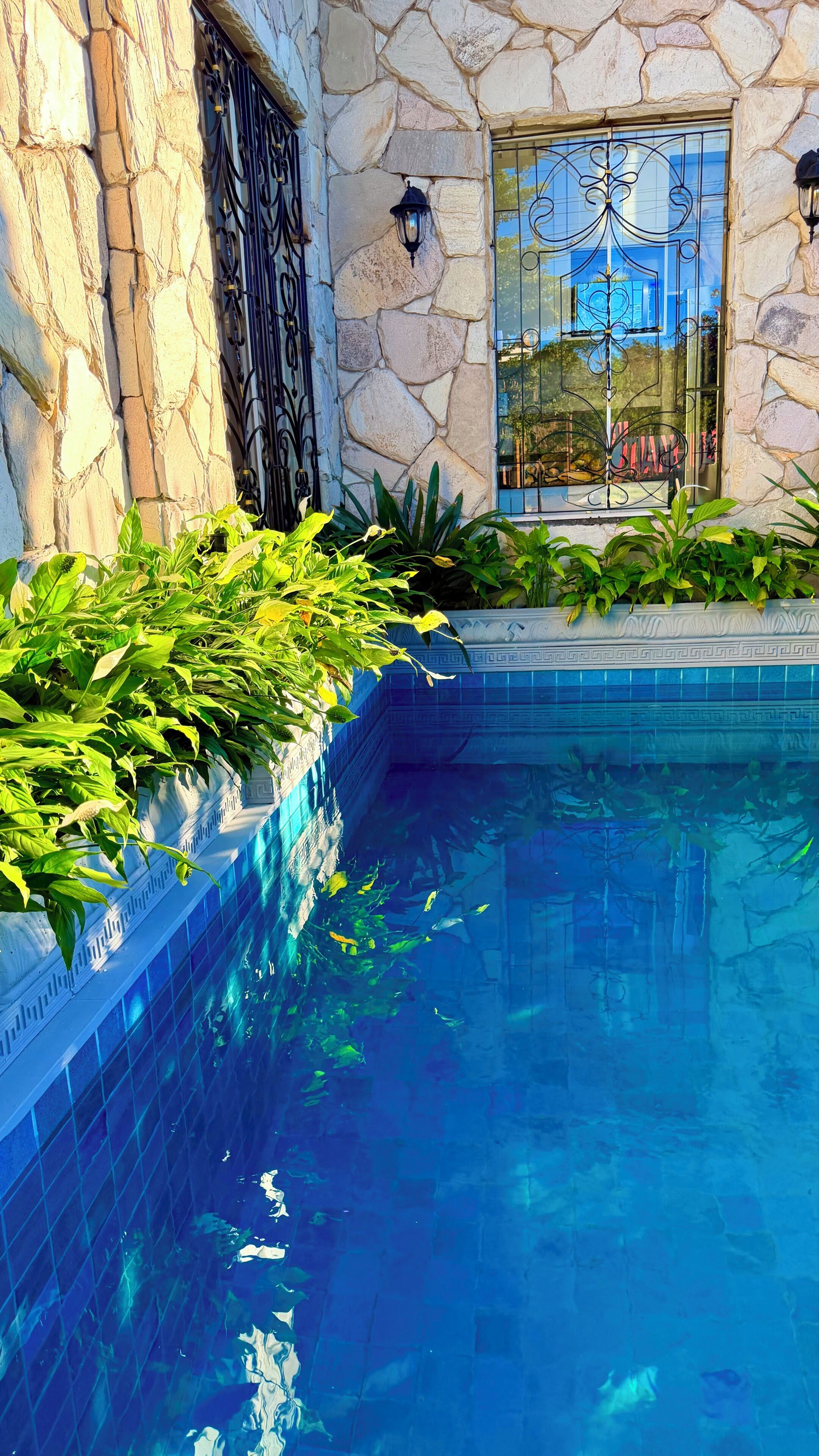 Una piscina con paredes de piedra y portones metálicos decorativos, rodeada de abundante vegetación.