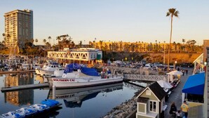 Un puerto deportivo con barcos amarrados, un pequeño edificio con toldo azul y un edificio alto al fondo.