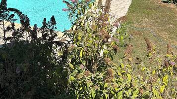 Una piscina con sillas de descanso y un muro de piedra.